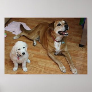 Póster Seus bebês no papel