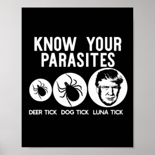 Poster Seus Parasitas Anti-Trump Resistirem A Camisa Engr