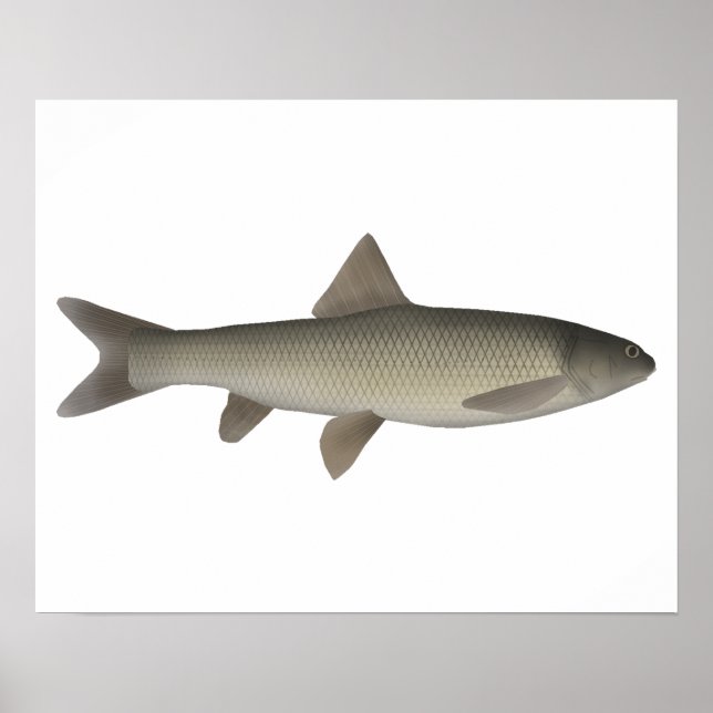 Poster Seven Khramulya (Frente)