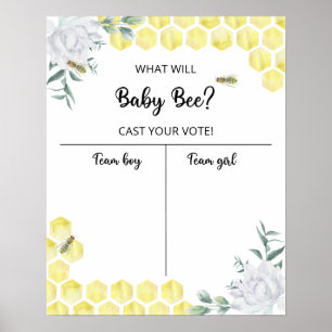 Poster Sexo de abelhas revela gráfico de Menino ou Rapari