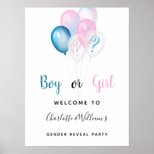 Poster Sexo revela festa garoto garota azul cor rosa