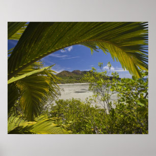 Poster Seychelles, Ilha Curieuse, Baía Laraie