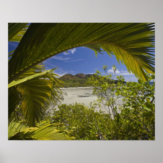 Poster Seychelles, Ilha Curieuse, Baía Laraie (Frente)