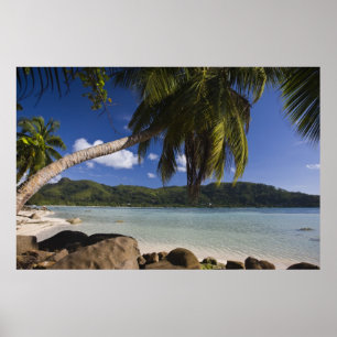 Póster Seychelles, Ilha de Mahe, Anse a la Mouche