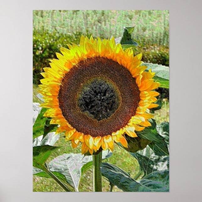 PÓSTER SFLOWER (Frente)