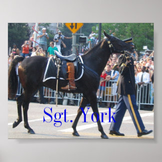 Póster Sgt. York O Cavalo Sem Rideros