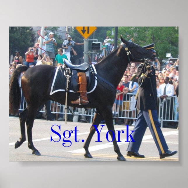Póster Sgt. York O Cavalo Sem Rideros (Frente)