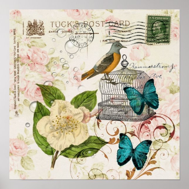 Póster shabby elegance camellia borboleta francesa (Frente)