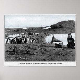 Póster Shackleton no gramofone antárctico com pinguins