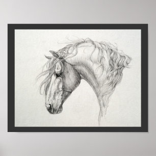 Póster Shadowfax