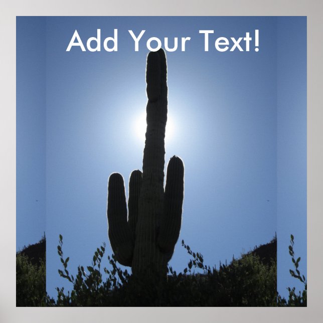 Póster Shady Saguaro (Frente)