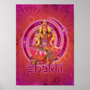 PÓSTER SHAKI
