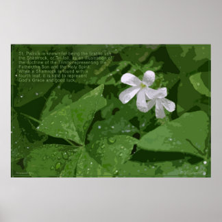 Poster Shamrock com texto -36x24 -ou menor