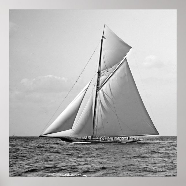 Poster Shamrock II no ponto externo 1901 BW (Frente)