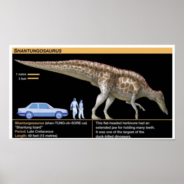 Poster Shantungosaurus - Biologia Jurássica (Frente)