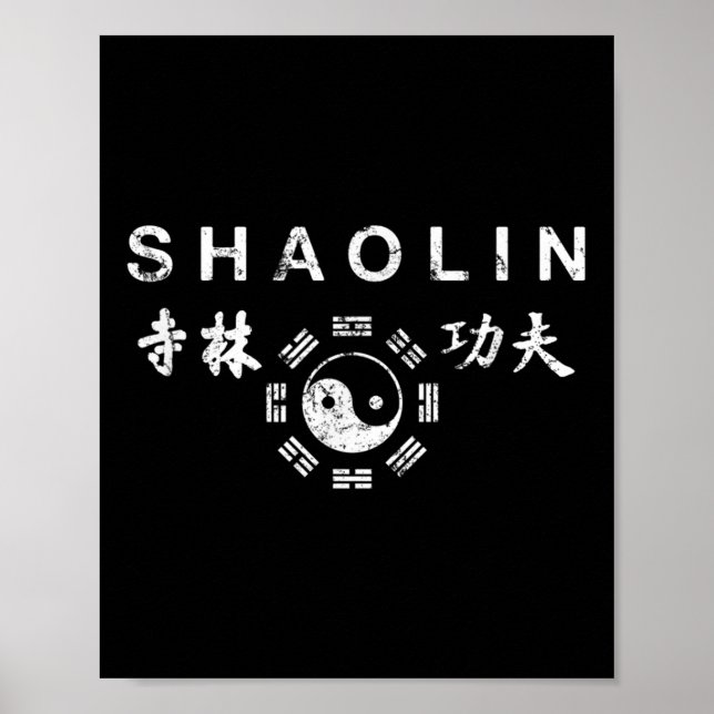 Poster Shaolin Kung Fu Artes Marciais Chinesas (Frente)