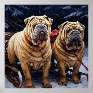 Poster Shar Pei Snowy Sleigh Decência de Natal