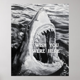 Poster Shark