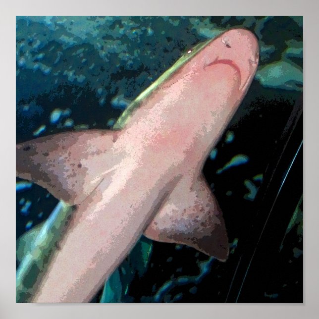 Poster Shark CB (Frente)