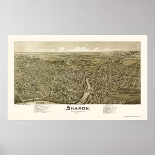 Póster Sharon, PA Panorâmica - 1901