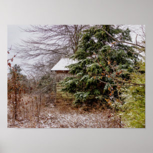 Poster Shed Abandonado
