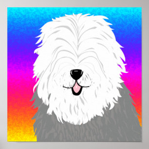 Poster Sheepdog inglês velho (com olhos cobertos)