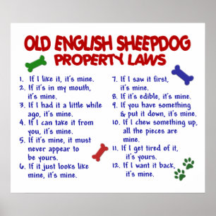 PÓSTER SHEEPDOG INGLÊS VELHO PL2