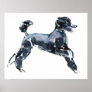 Póster Sheer Classe 2013