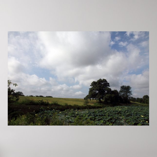 Póster Shelby Fazenda (Frente)