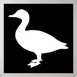 Póster Sheldrake Duck