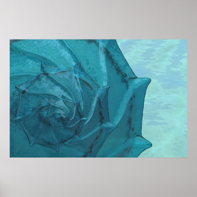 Poster Shell (Frente)