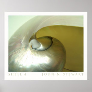 Póster Shell #4