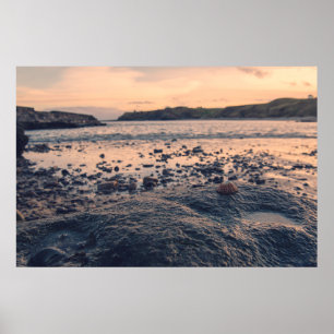 Poster Shell do Mar do Norte