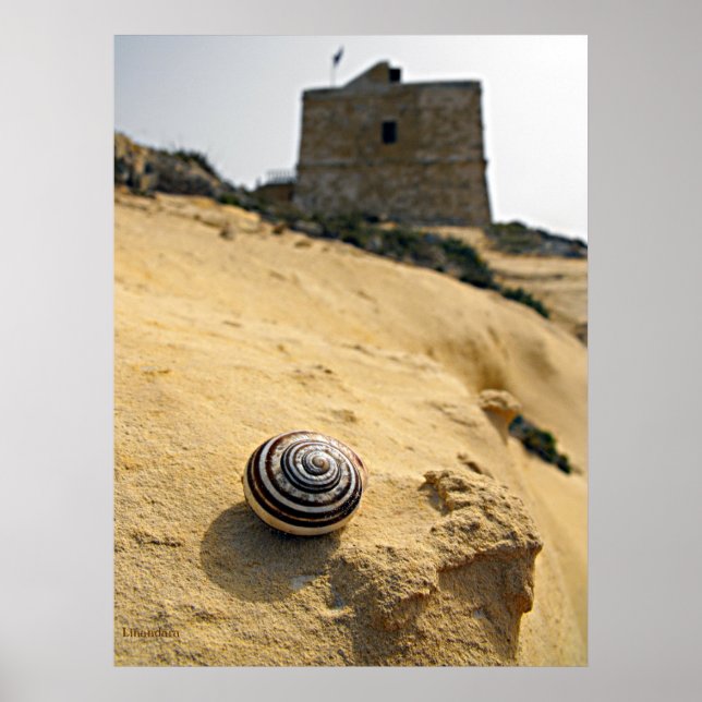 Póster Shell e Tower, Gozo (Frente)