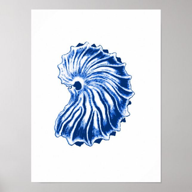 Poster Shell Espiral, Azul Indigo e Branco (Frente)