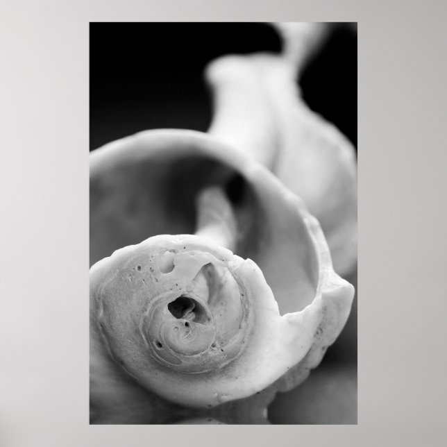 Poster Shell meteorizado (Frente)