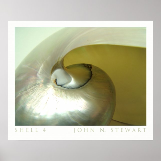 Póster Shell nº 4 (Frente)