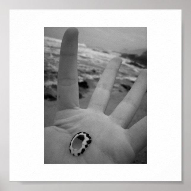 Póster Shell na mão (Frente)