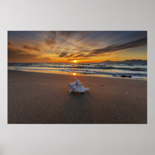 Póster Shell na praia na ilha do por do sol   Kos