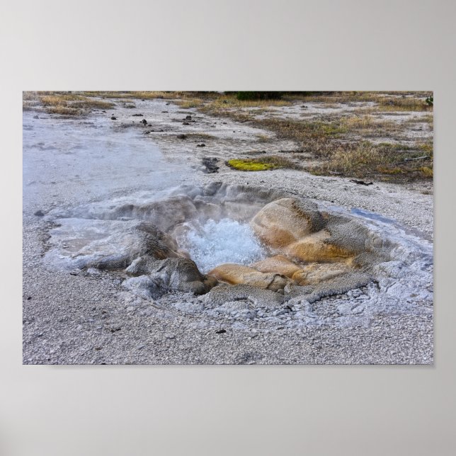 Poster Shell Primavera no Parque Nacional de Yellowstone, (Frente)