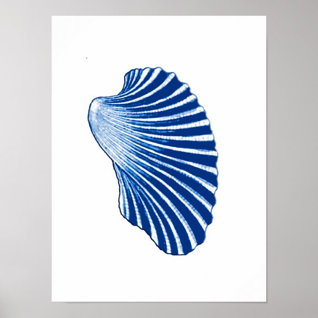 Poster Shell Scallop, Azul Indigo e Branco (Frente)
