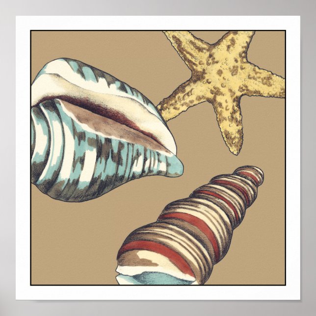 Poster Shell Trio em Khaki (Frente)