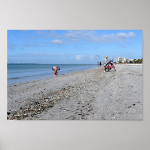 Poster Shelling at Low Tide, Fort Myers Beach, Flórida
