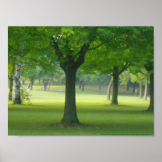 Poster Shellis Canvas Print, Desenquadrado "A Floresta Má