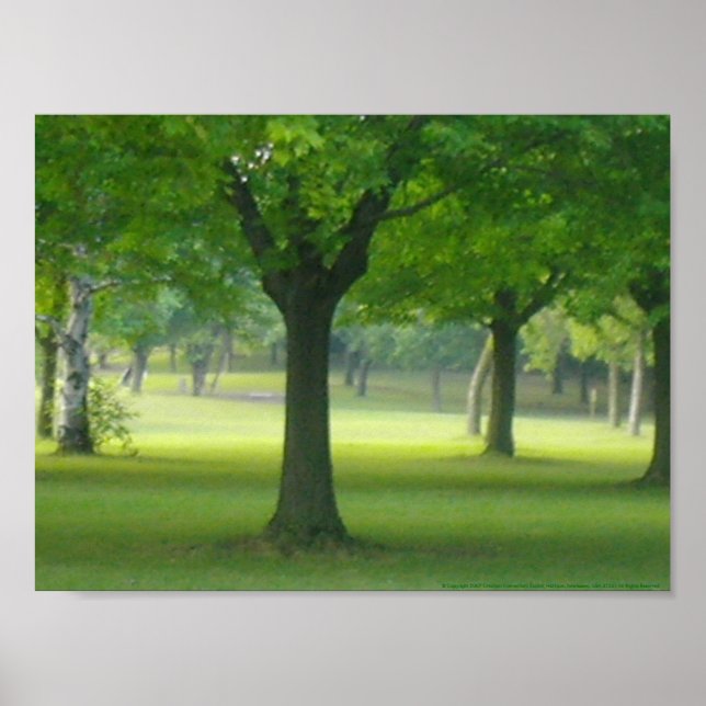 Poster Shellis Canvas Print, Desenquadrado "A Floresta Má (Frente)