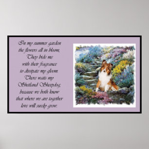 Poster Sheltie Art Onde O Amor Cresce
