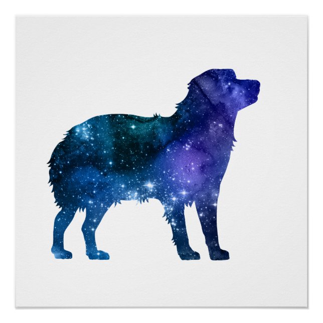 Póster Shepherd Art Aussie Dog Australiano (Frente)