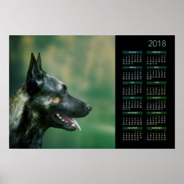 Póster Shepherd Holandês - Calendário Holandês 2018
