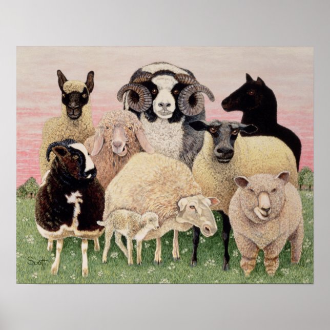 Poster Shepherds Delight (Frente)