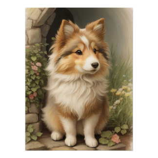 Póster Shetland Sheepdog